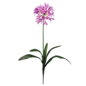 29" African Lily Stem (Set of 12)"