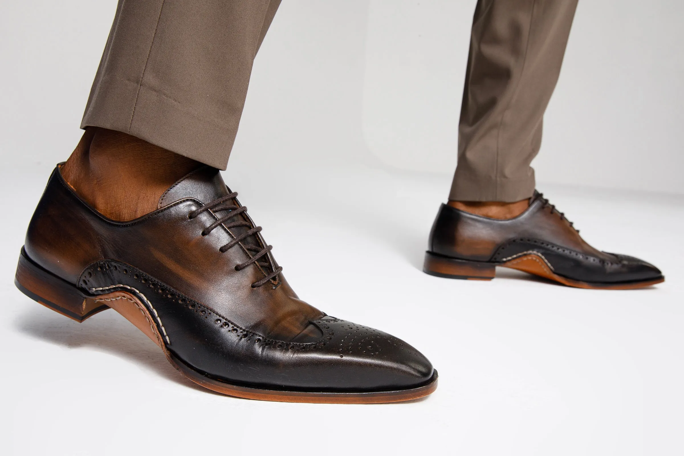 The Royal Hand Craft Black & Brown Wingtip Oxford Men Shoe