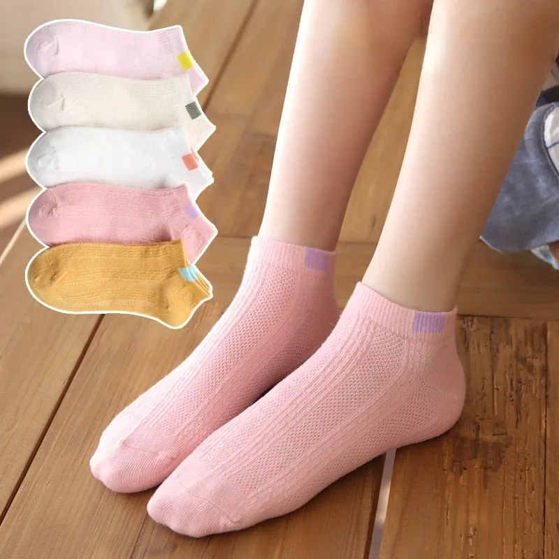 Women Invisible No Show Cotton Ankle Boat Socks, 5 Pairs